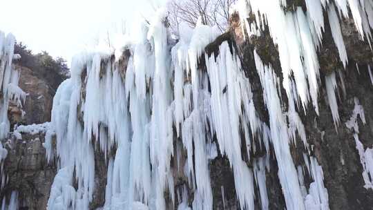 冰瀑 瀑布 沕沕水景区冰瀑 景点