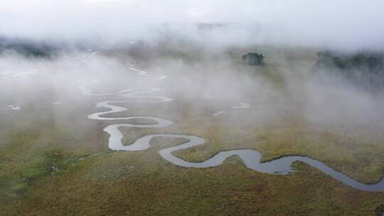 霍日高鲁湿地 高山湿地