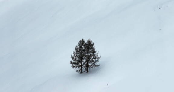 冬天喀纳斯雪景航拍