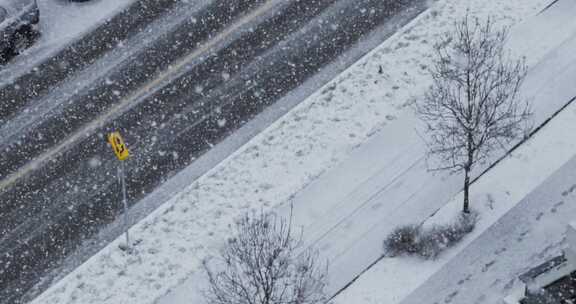 降雪，雪，道路，汽车