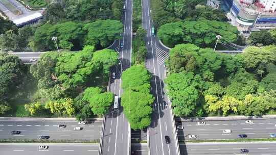 深圳新洲路航拍