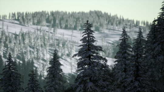 山中美丽的冬季景观视频素材模板下载