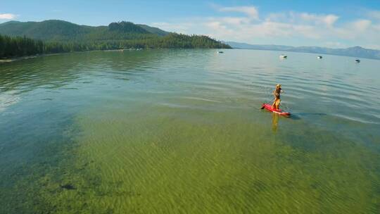 航拍塔霍湖上一名妇女和她的狗划桨