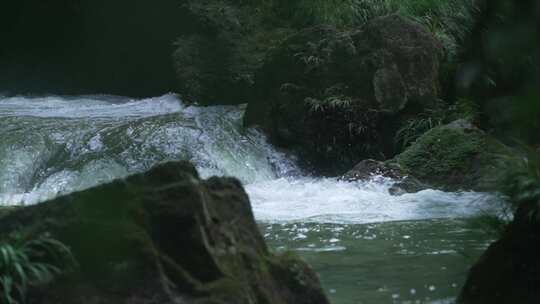 水源溪流 清澈溪流 溪水生态植被