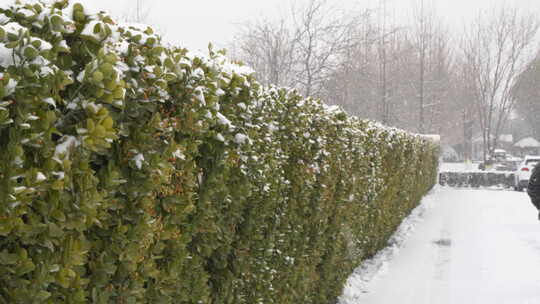 下雪天路人慢慢走向远方