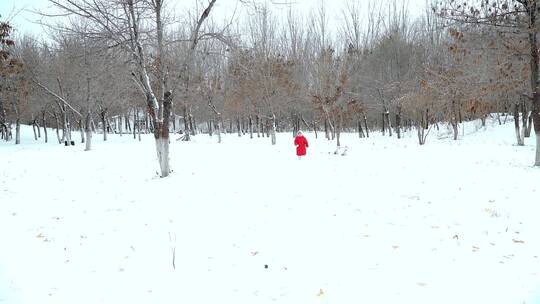 冬天在公园树林里玩雪的中国女孩形象