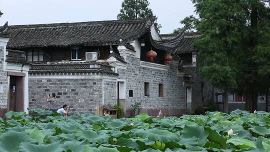 鸟瞰古建筑 荷花 荷塘