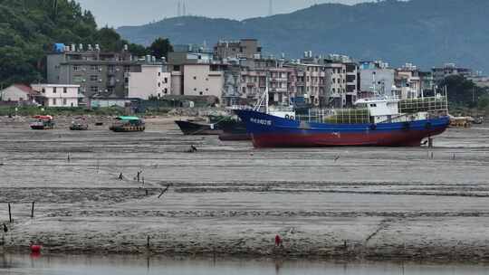 北岐滩涂航拍空镜