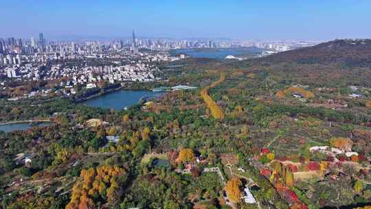 江苏南京灵山风景区前湖秋天秋色航拍