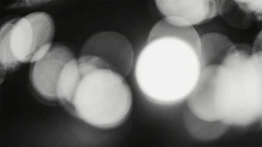 光影几何与自然形态的艺术定格