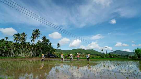 海南现代农业基地