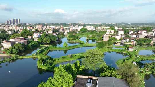 中国江门市鹤山市华侨城古劳水乡旅游区