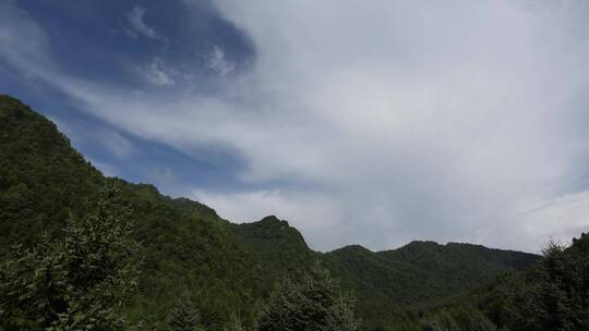宣传片大气绿色和谐秦岭森林延时摄影实拍