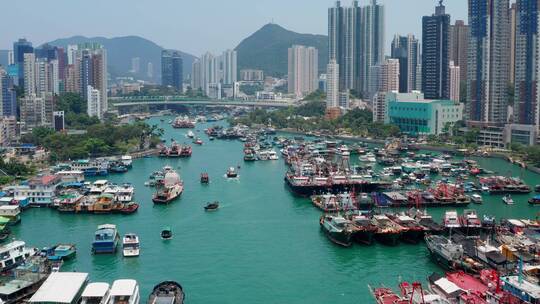 香港渔港港口俯视图