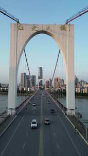 大桥 航拍 地标  柳州  城市风光