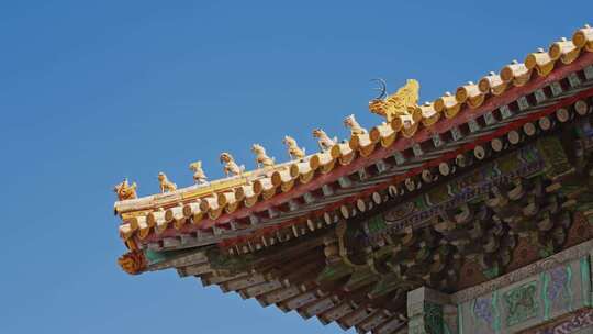 故宫宫殿屋脊兽0270