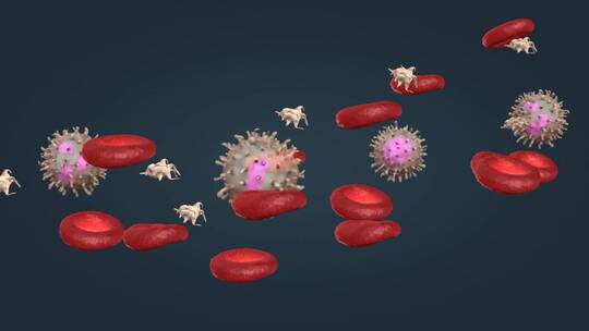 红细胞 白细胞 血小板医学微观三维动画