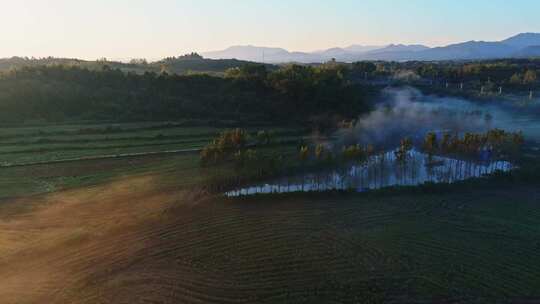 金秋十月大地秋天晨雾日出大气田园风光