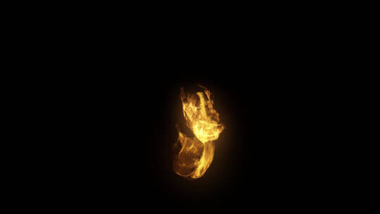 4k特效物体燃烧产生的火焰-alpha (19)