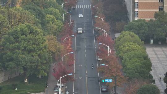 杭州钱塘区学林街秋景航拍