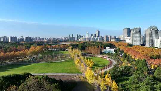 上海世纪公园秋天风景