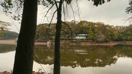 湖边树林里的建筑