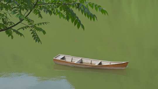 湖面，树枝，木船
