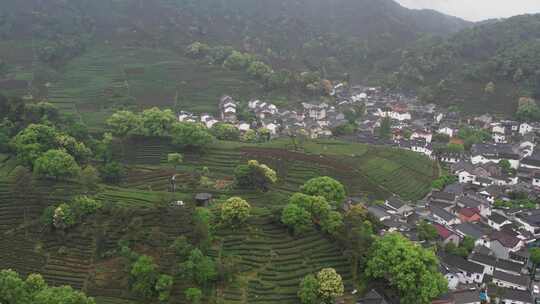 浙江省杭州市西湖风景区梅家坞茶文化村航拍