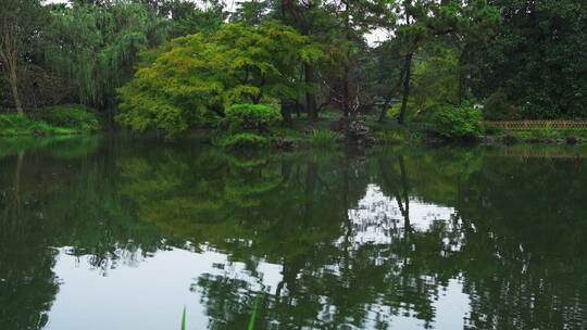 诗画江南植物园林4K 唯美雨水意境 白噪音