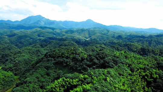 衡阳花果山