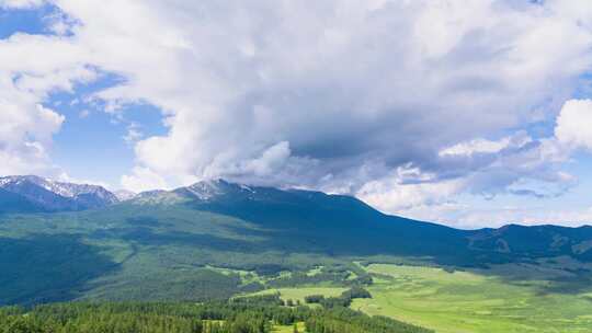 新疆阿勒泰喀纳斯景区夏天森林草原雪山延时