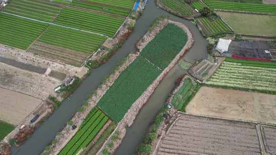 农业基地农作物种植航拍