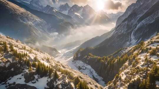 阳光照耀下的雪山丛林壮丽景象