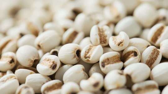 薏仁五谷杂粮微距素材