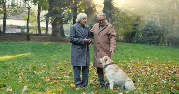 老年夫妇在公园里遛狗