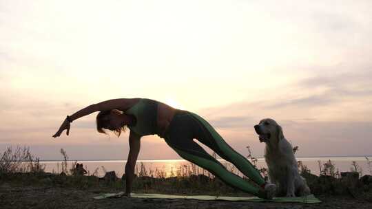 女人带着狗子在海边练习瑜伽视频素材模板下载