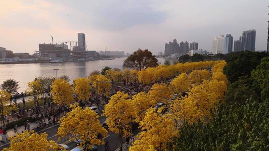 黄昏下城市江边的黄花岭