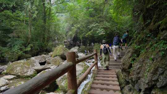 成都青城山后山峡谷森林步道溪流自然景观