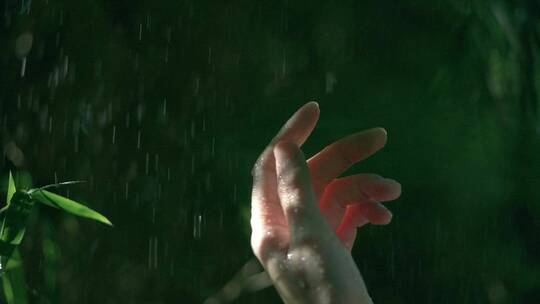 下雨的树林中女孩伸手抚摸雨滴唯美视频素材