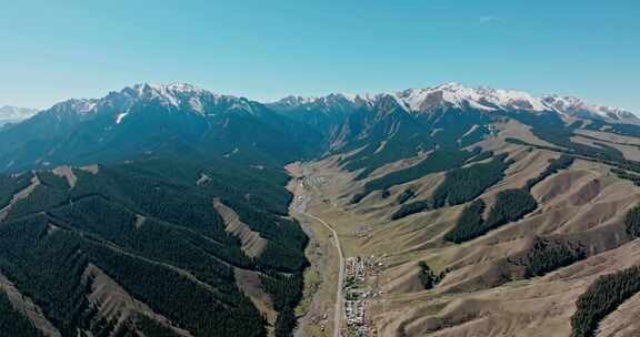 航拍天山森林