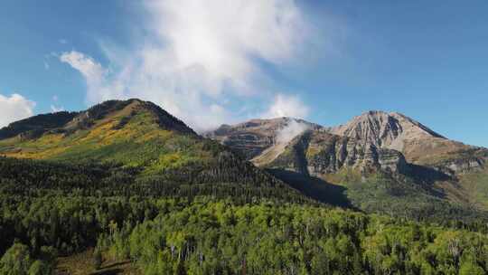 落基山脉高海拔白杨树林的秋色，低谷雾——风景优美