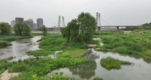 洛阳伊河伊滨区开拓桥自然绿色生态风光休闲