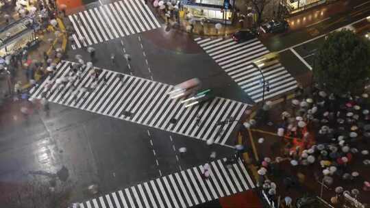 涩谷十字路口延时视频素材模板下载