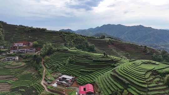 福建安溪茶山航拍