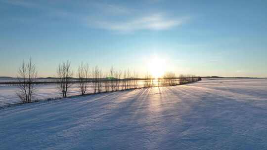 航拍内蒙古垦区雪原阳光