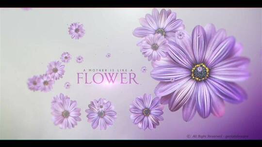 感恩母亲节花朵文字祝福视频AE模板