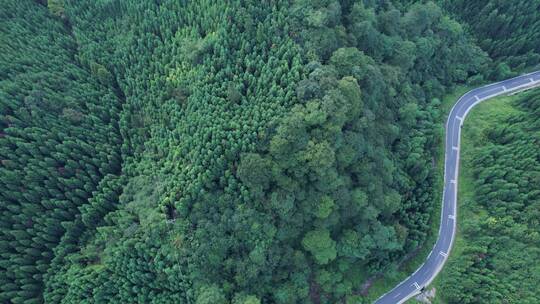 俯瞰横移山林盘山公路行车