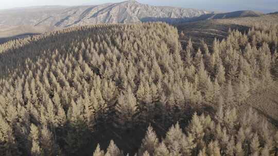 航拍内蒙古呼和浩特大青山哈达门公园秋景