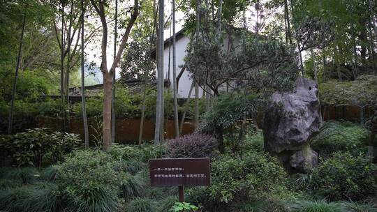 杭州飞来峰永福寺禅院风景