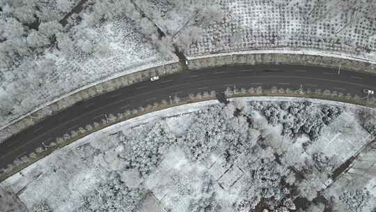 雪景 春雪 鹅毛大雪 下雪  雪